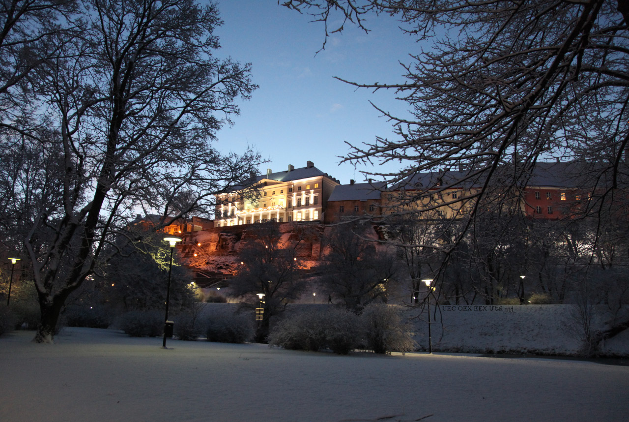 stenbocki maja atop toompea and trees